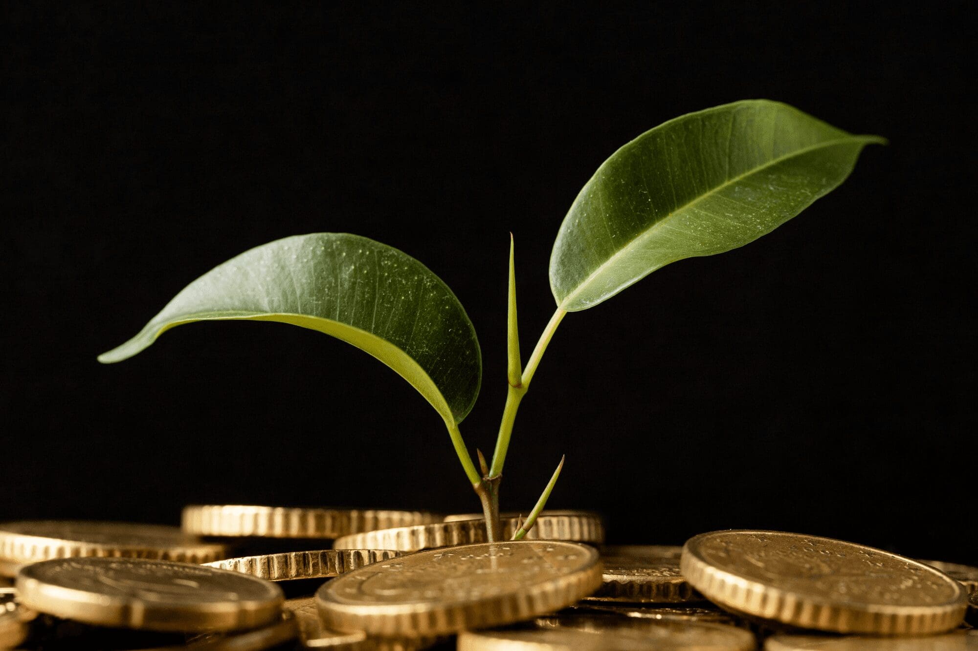 cara menghitung zakat emas